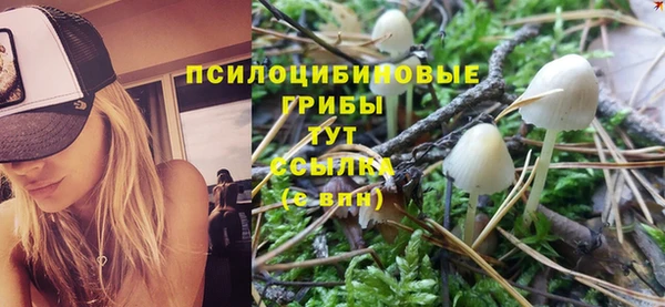 спайс Болохово