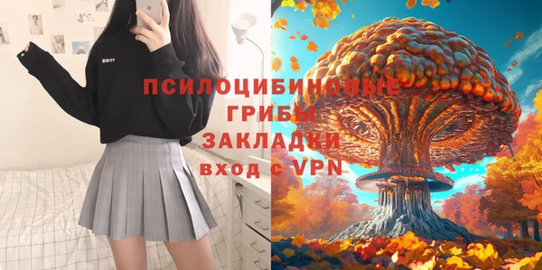 круглые Болотное