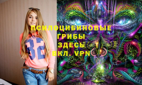 кокс Арсеньев