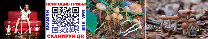 Псилоцибиновые грибы GOLDEN TEACHER  где можно купить наркотик  kraken как зайти  дарк нет официальный сайт  Белёв 
